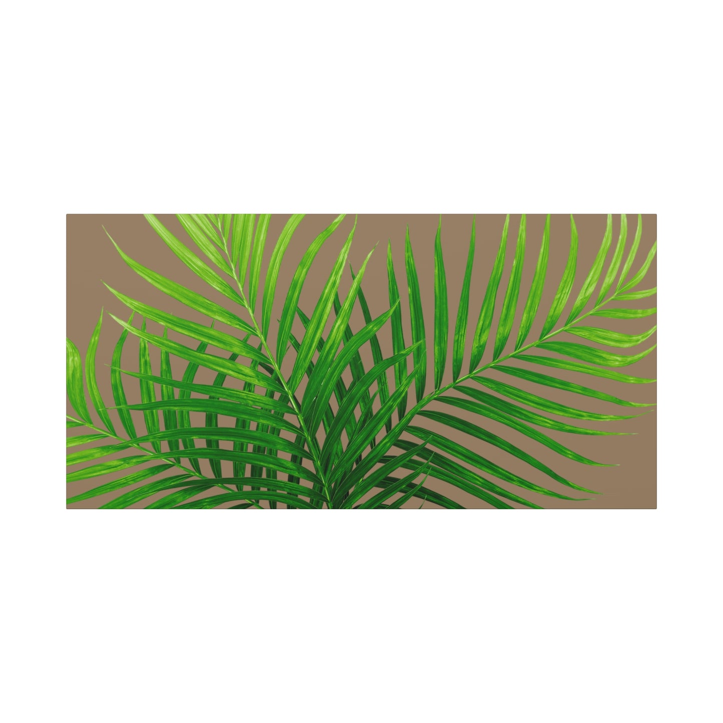 Tropical Leaf Matte Canvas Wall Art with a nude background