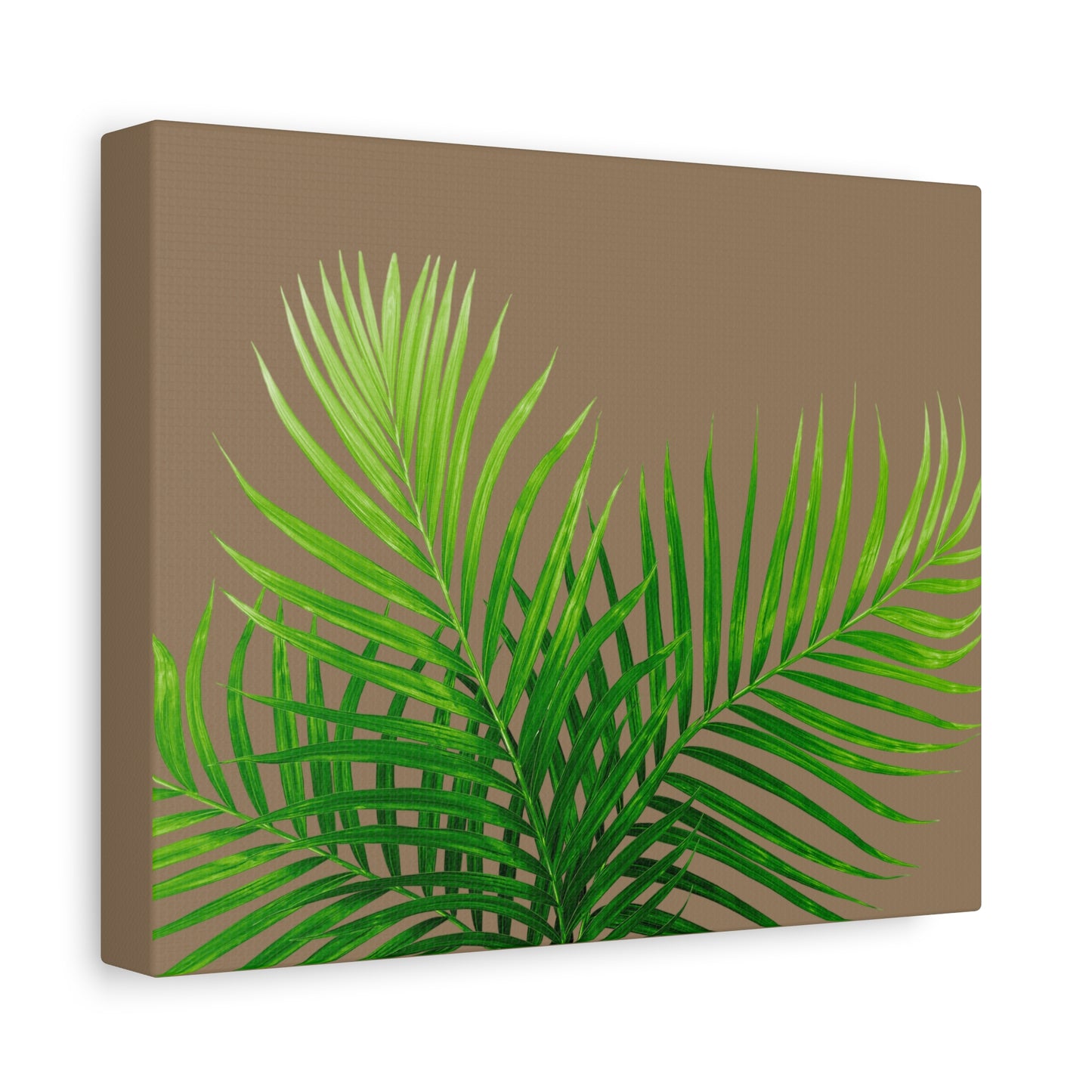 Tropical Leaf Matte Canvas Wall Art with a nude background