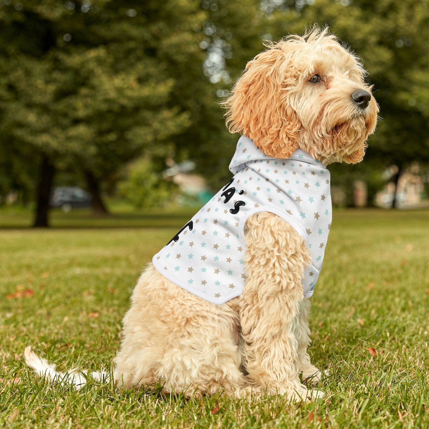 Momma's BFF Star Print Pet Hoodie for Cozy Style