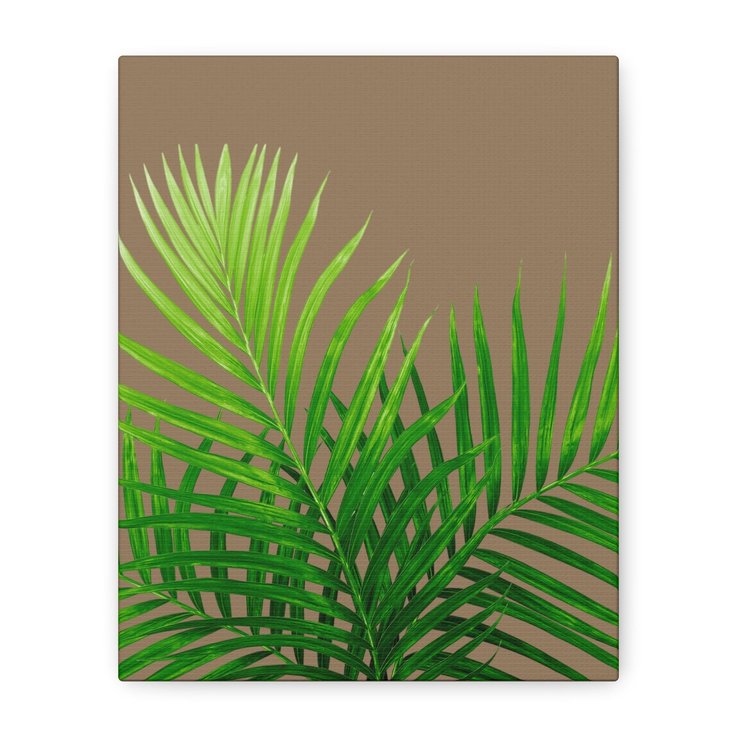 Tropical Leaf Matte Canvas Wall Art with a nude background
