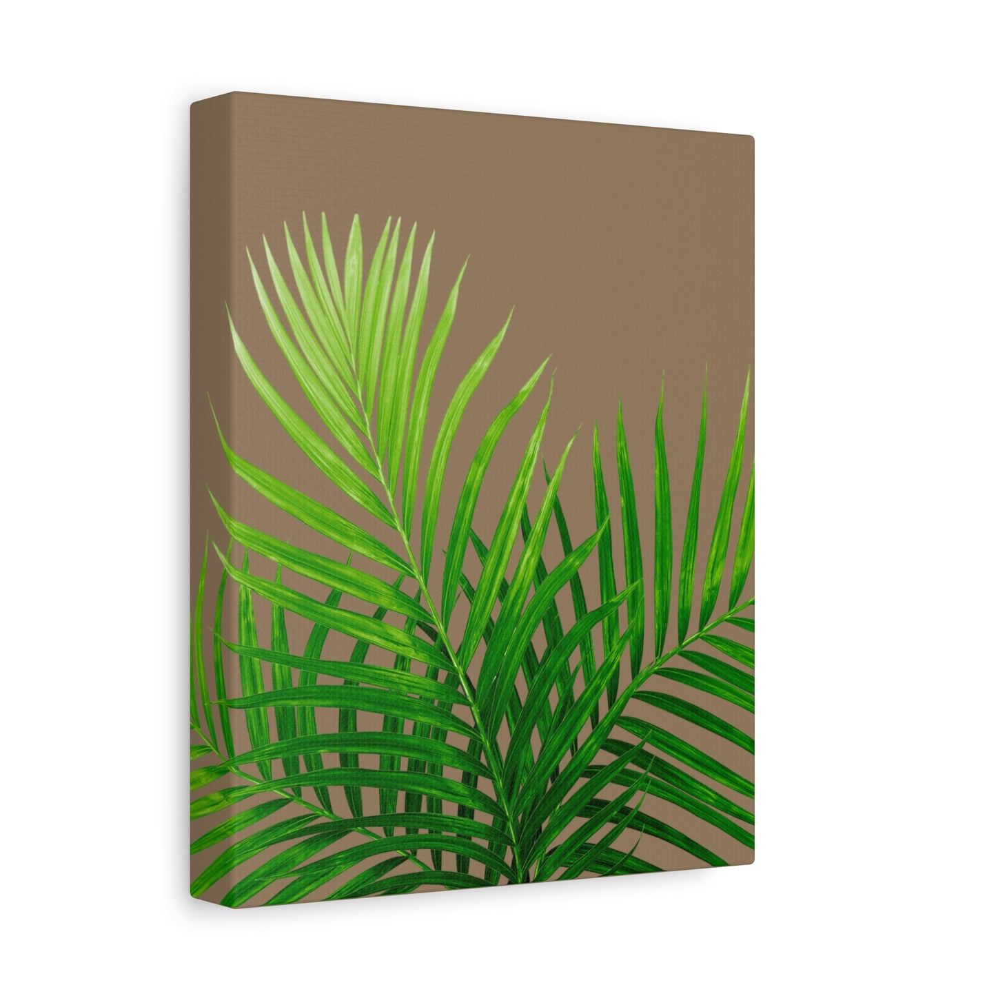 Tropical Leaf Matte Canvas Wall Art with a nude background