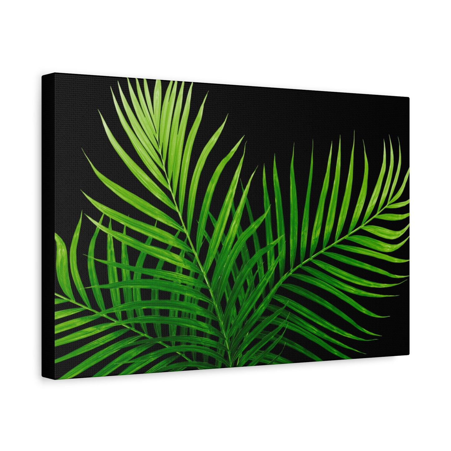 Tropical Leaf Matte Canvas Wall Art with a black background