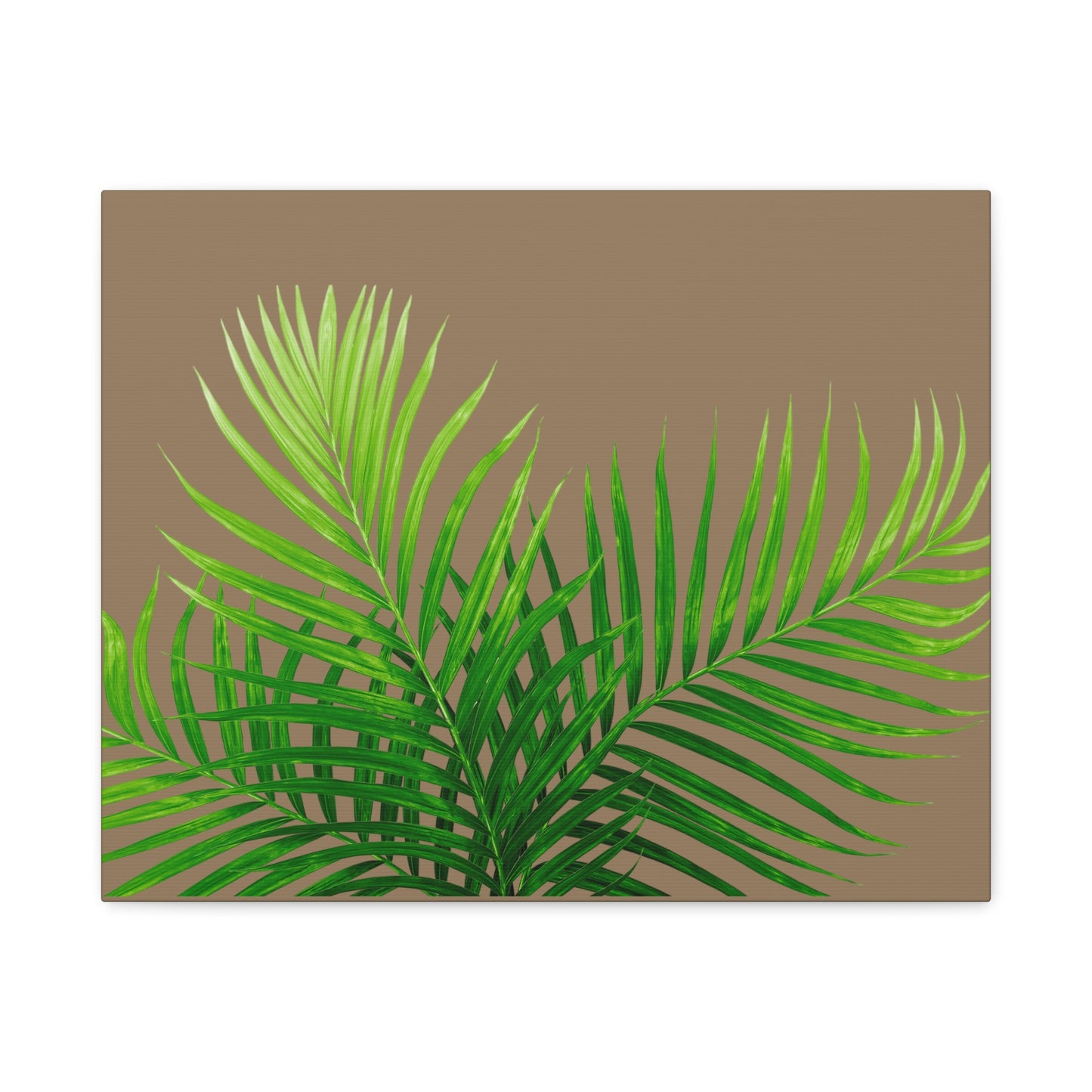 Tropical Leaf Matte Canvas Wall Art with a nude background