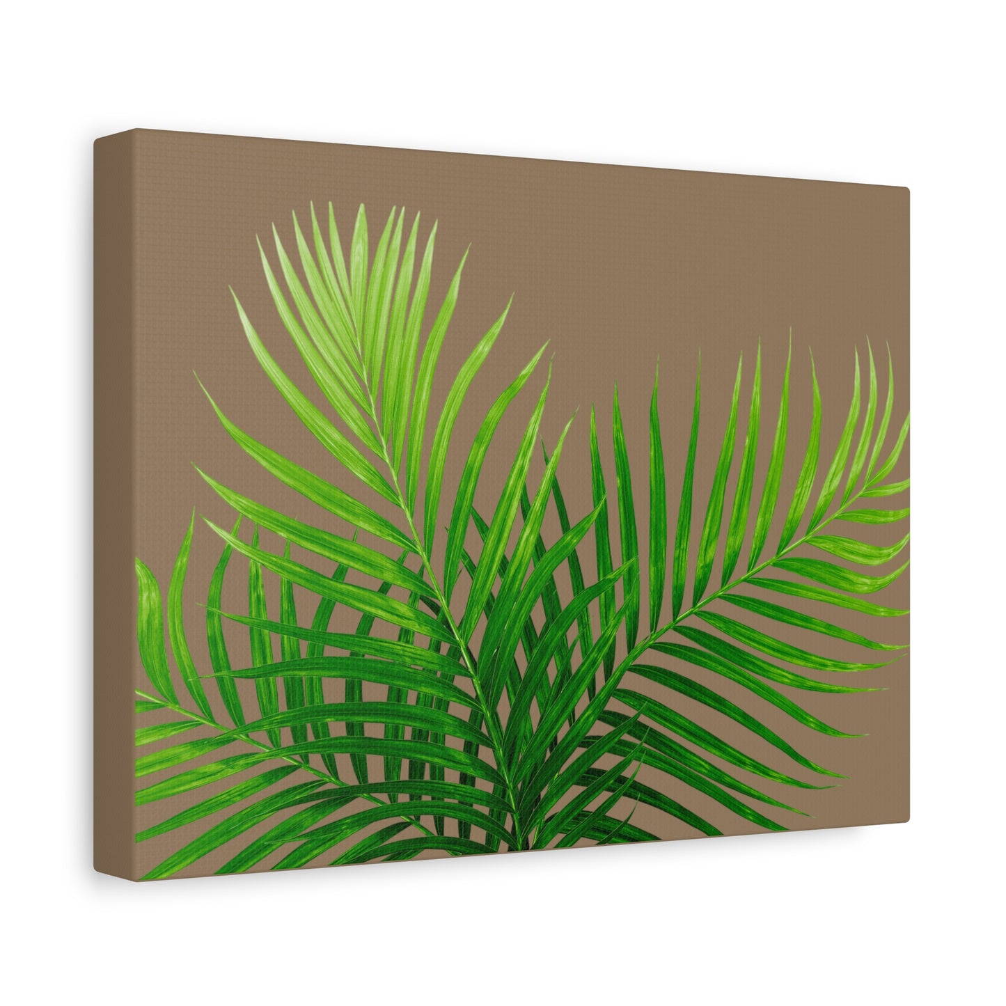 Tropical Leaf Matte Canvas Wall Art with a nude background