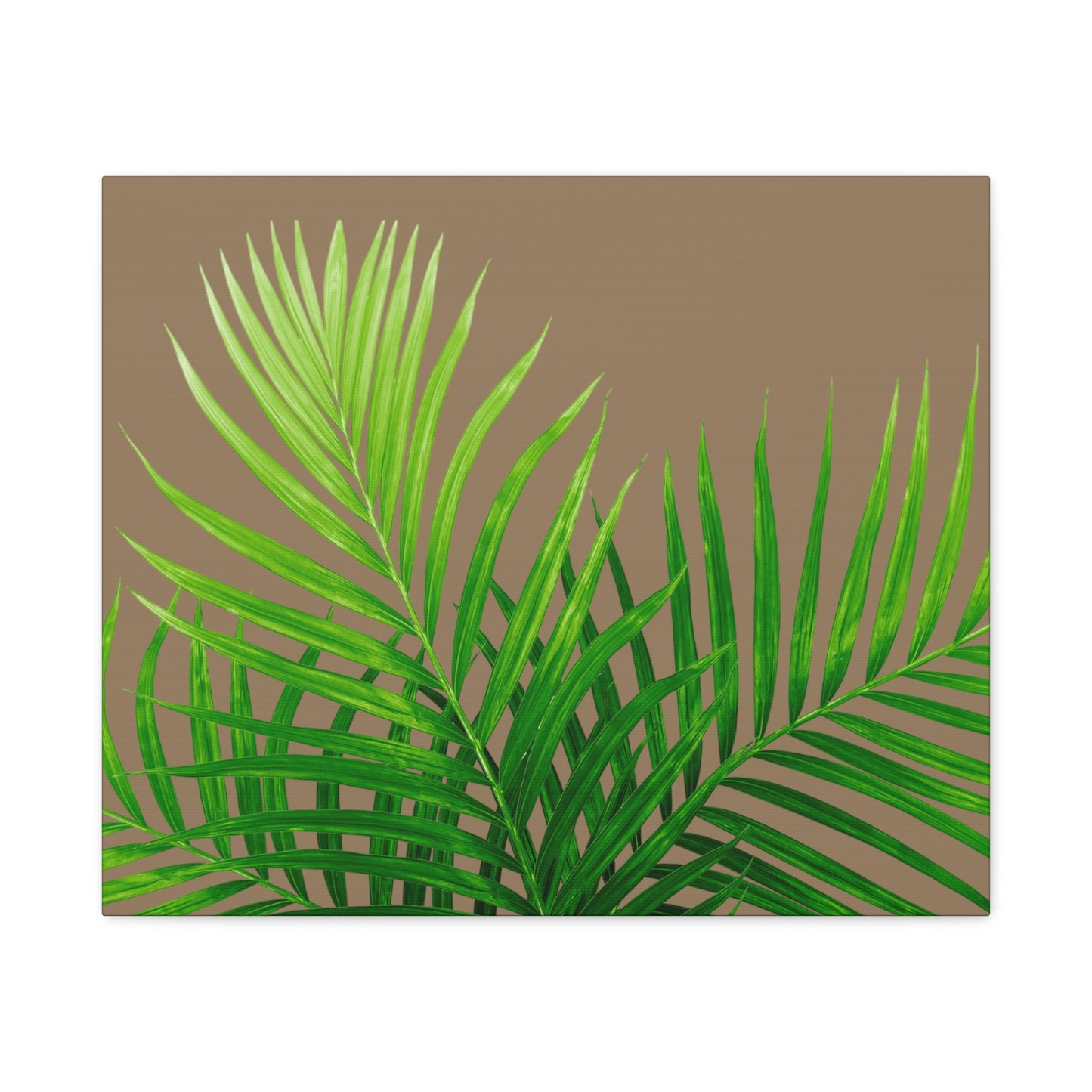 Tropical Leaf Matte Canvas Wall Art with a nude background
