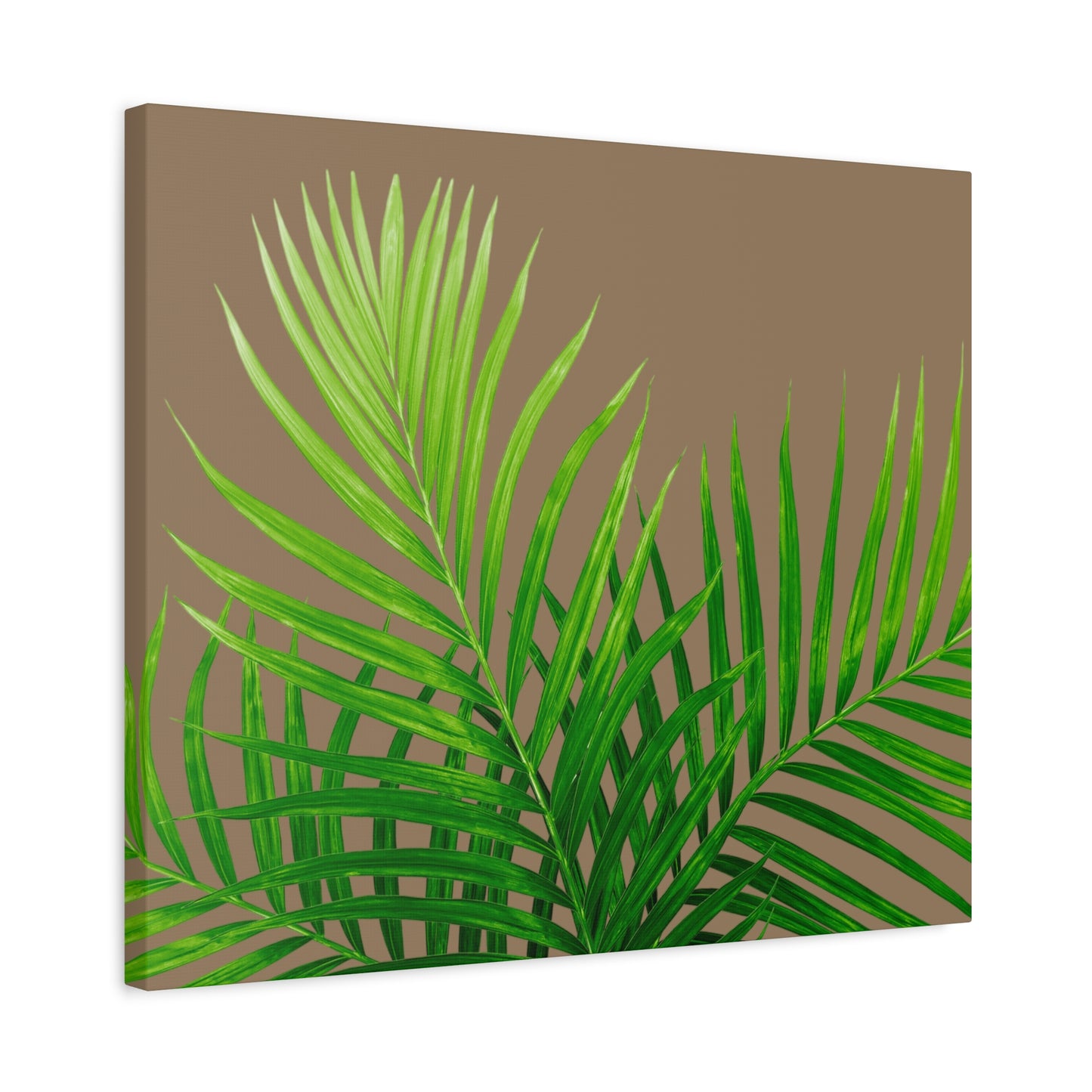 Tropical Leaf Matte Canvas Wall Art with a nude background