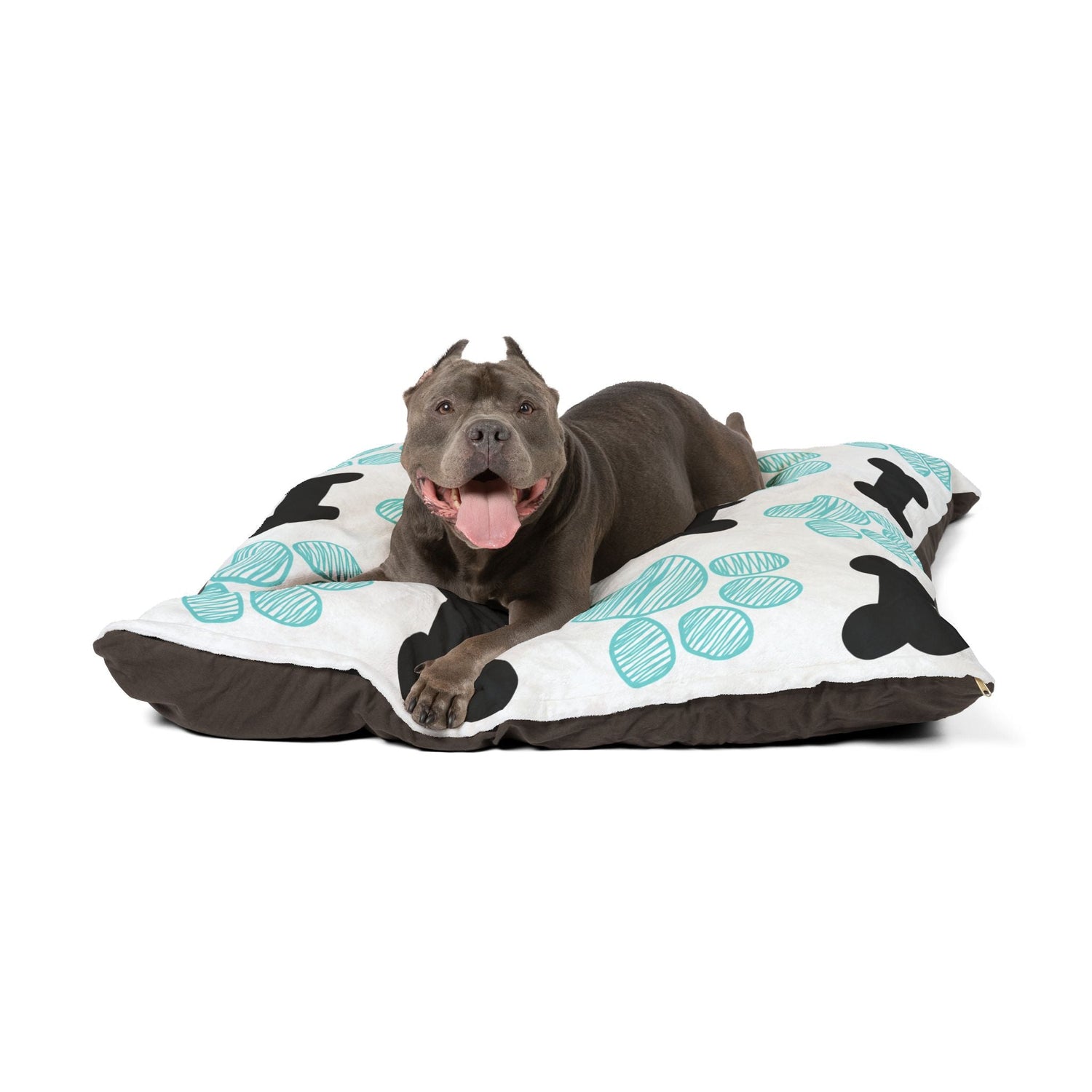 Pet Accessories