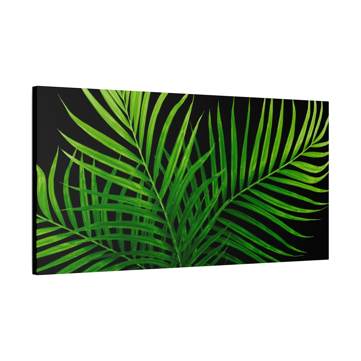 Tropical Leaf Matte Canvas Wall Art with a black background