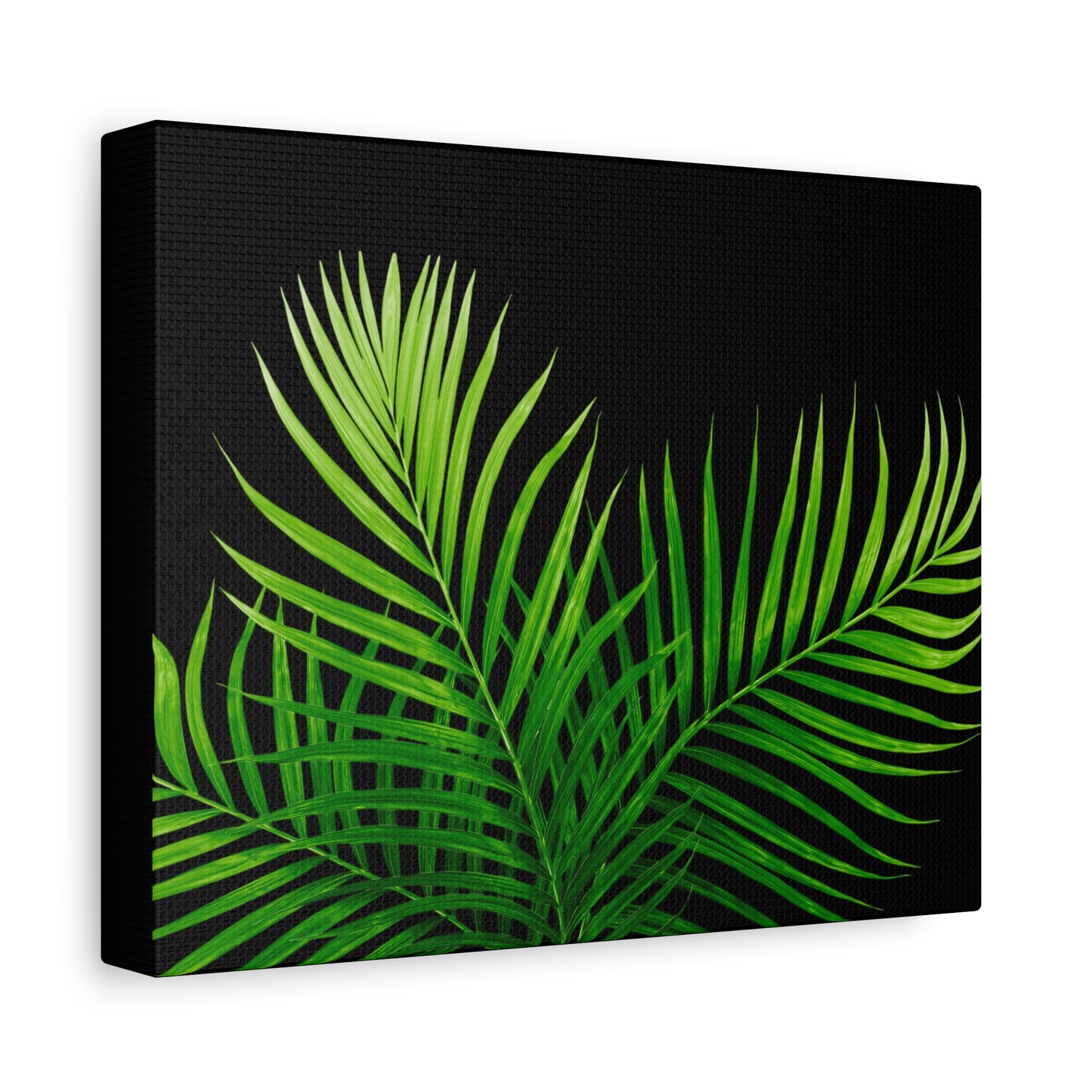 Tropical Leaf Matte Canvas Wall Art with a black background