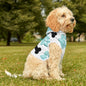 Stylish Pet Hoodie with Bone and Paw Print Design