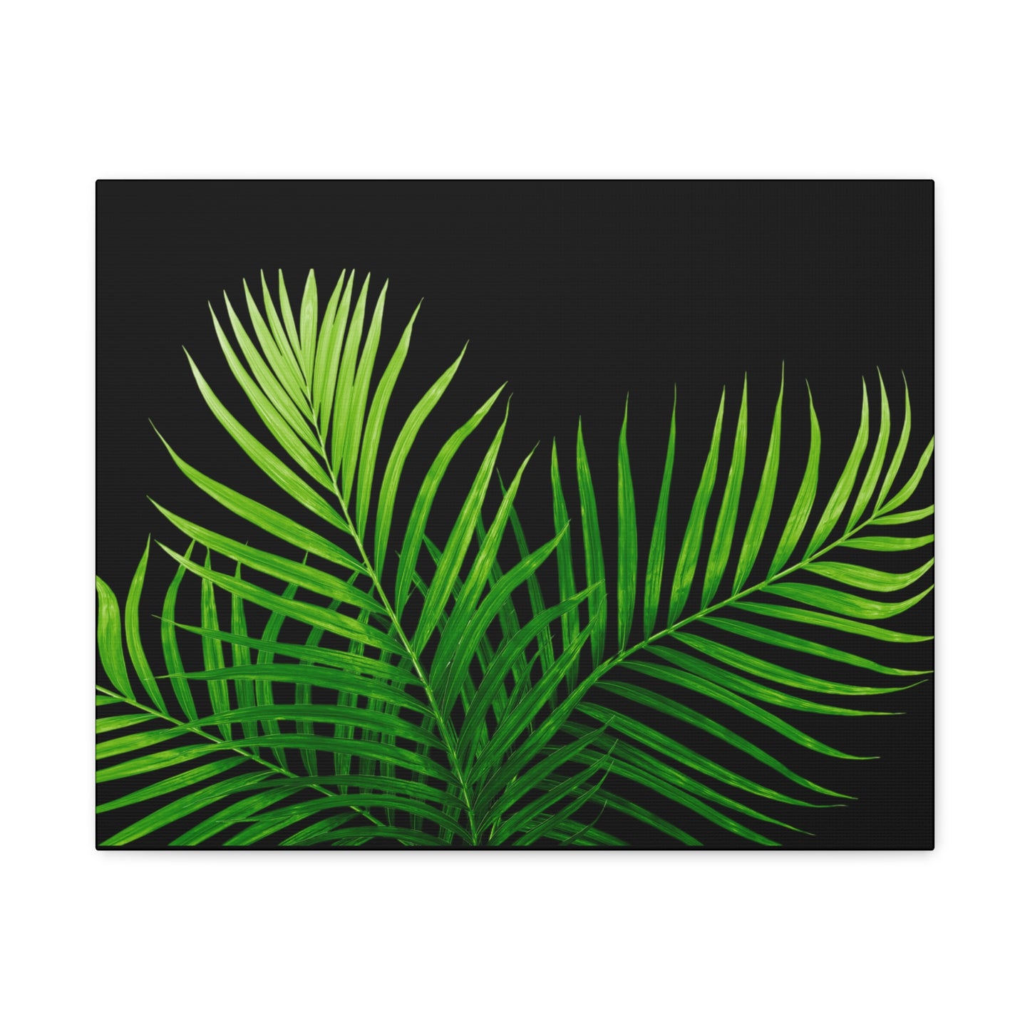 Tropical Leaf Matte Canvas Wall Art with a black background