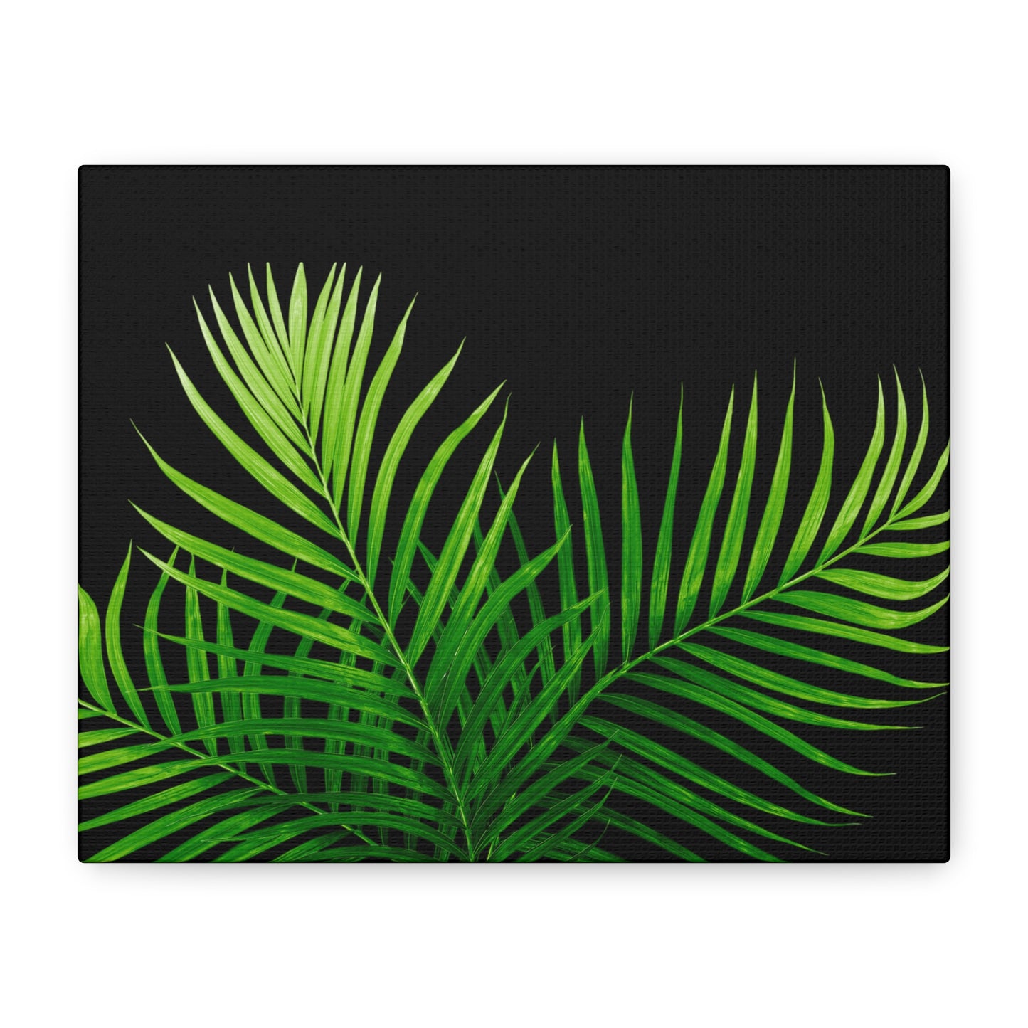 Tropical Leaf Matte Canvas Wall Art with a black background
