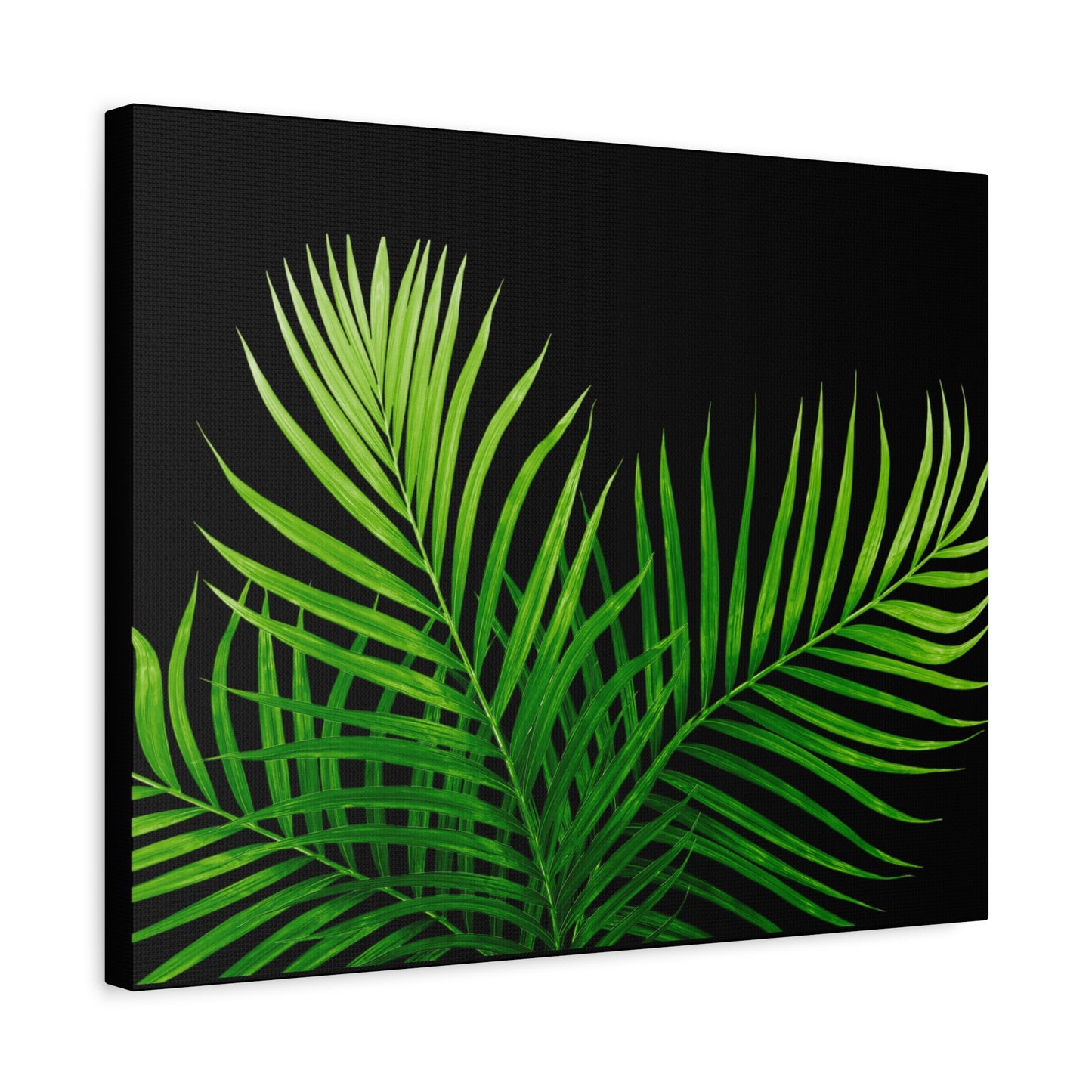 Tropical Leaf Matte Canvas Wall Art with a black background