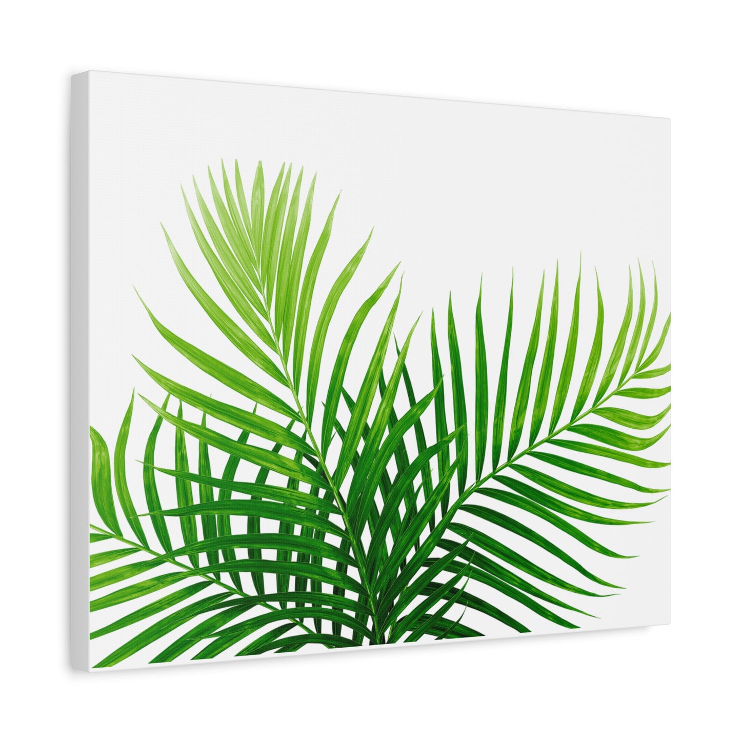 Tropical Leaf Matte Canvas Wall Art with a white background