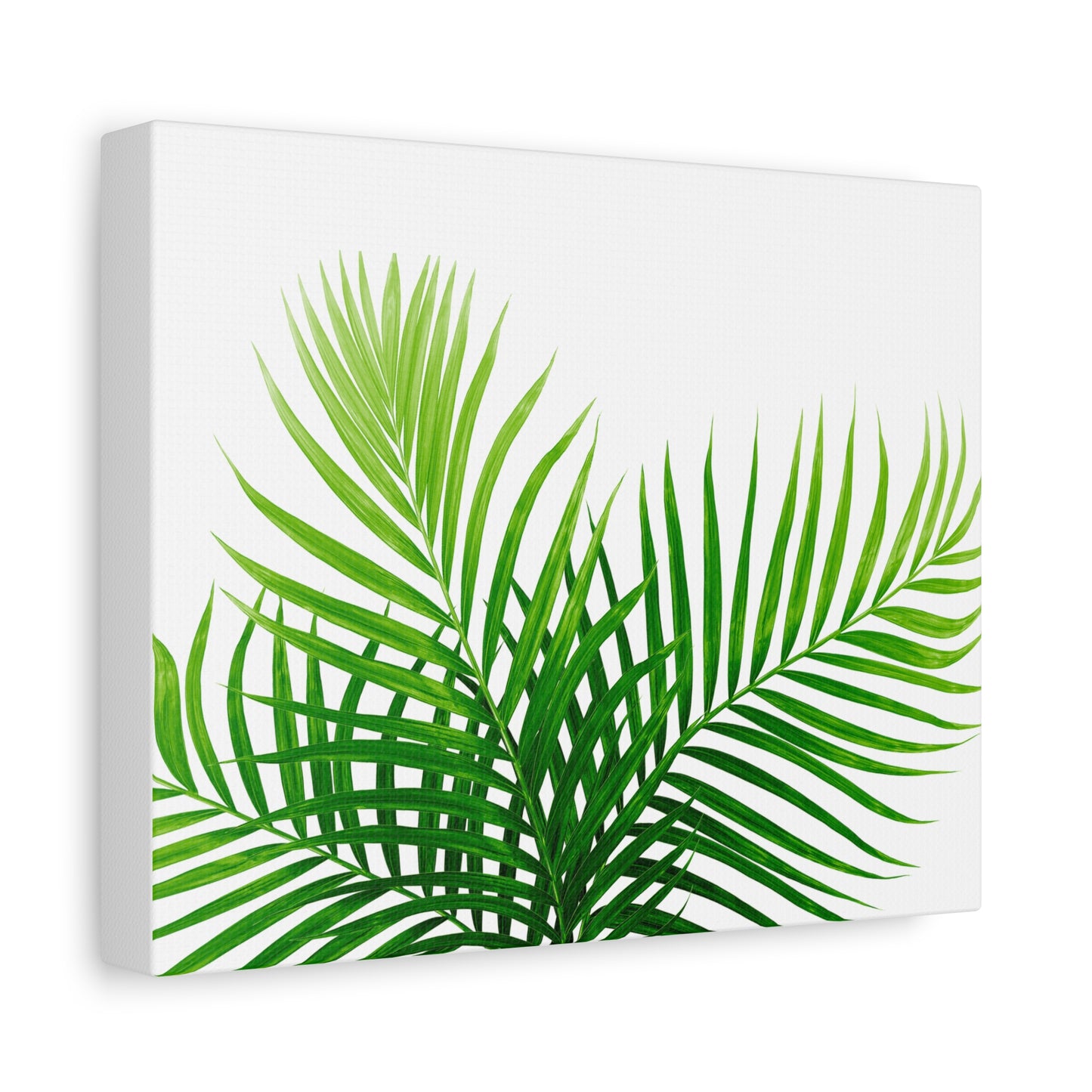 Tropical Leaf Matte Canvas Wall Art with a white background