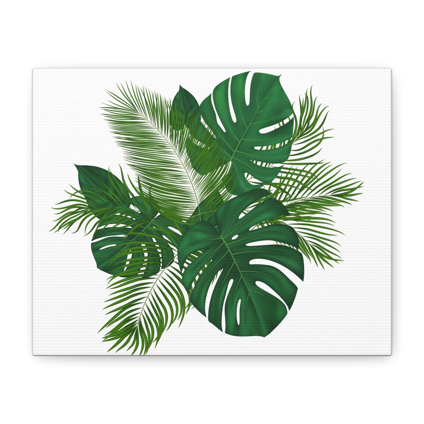 Palm Leaves White Background Matte Canvas