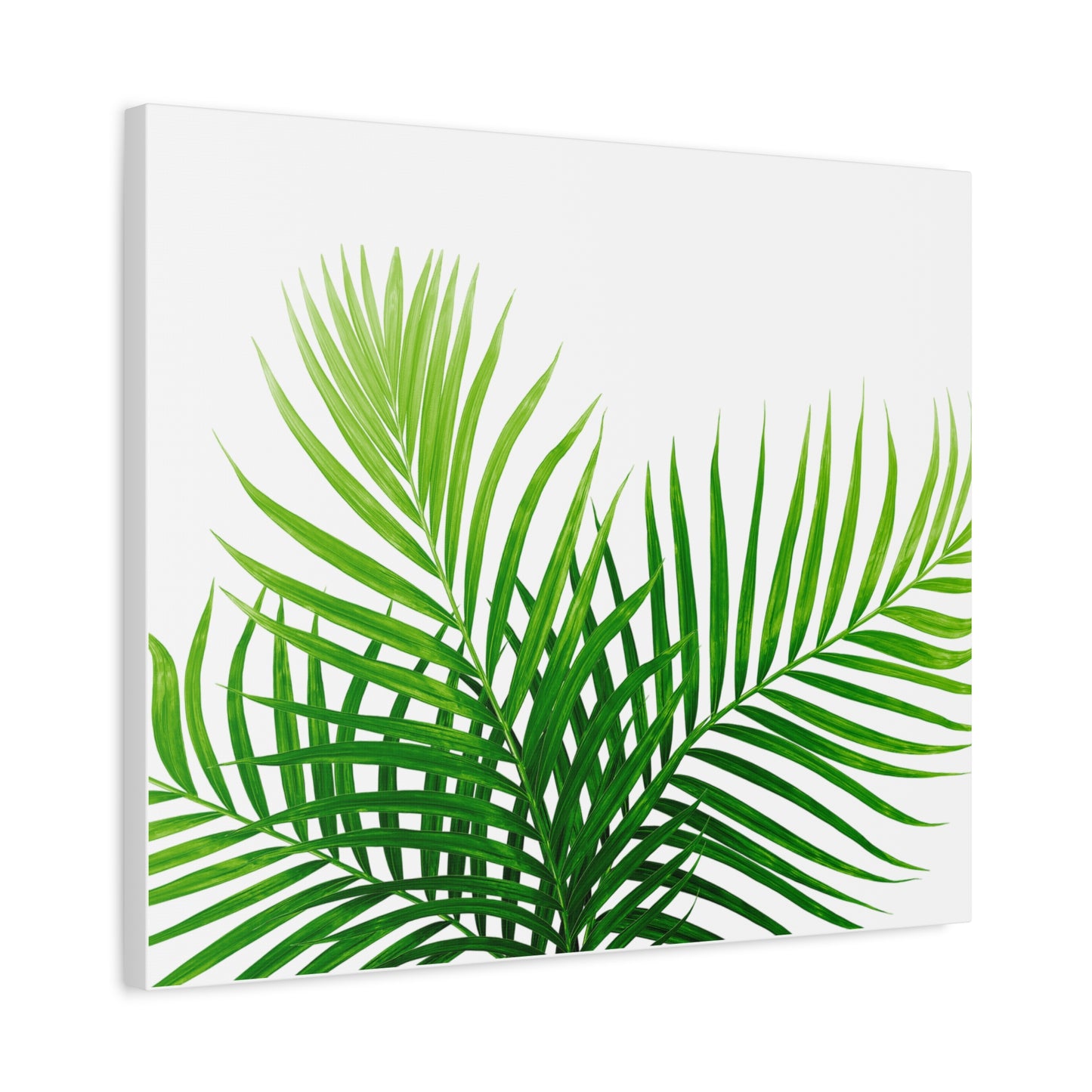 Tropical Leaf Matte Canvas Wall Art with a white background