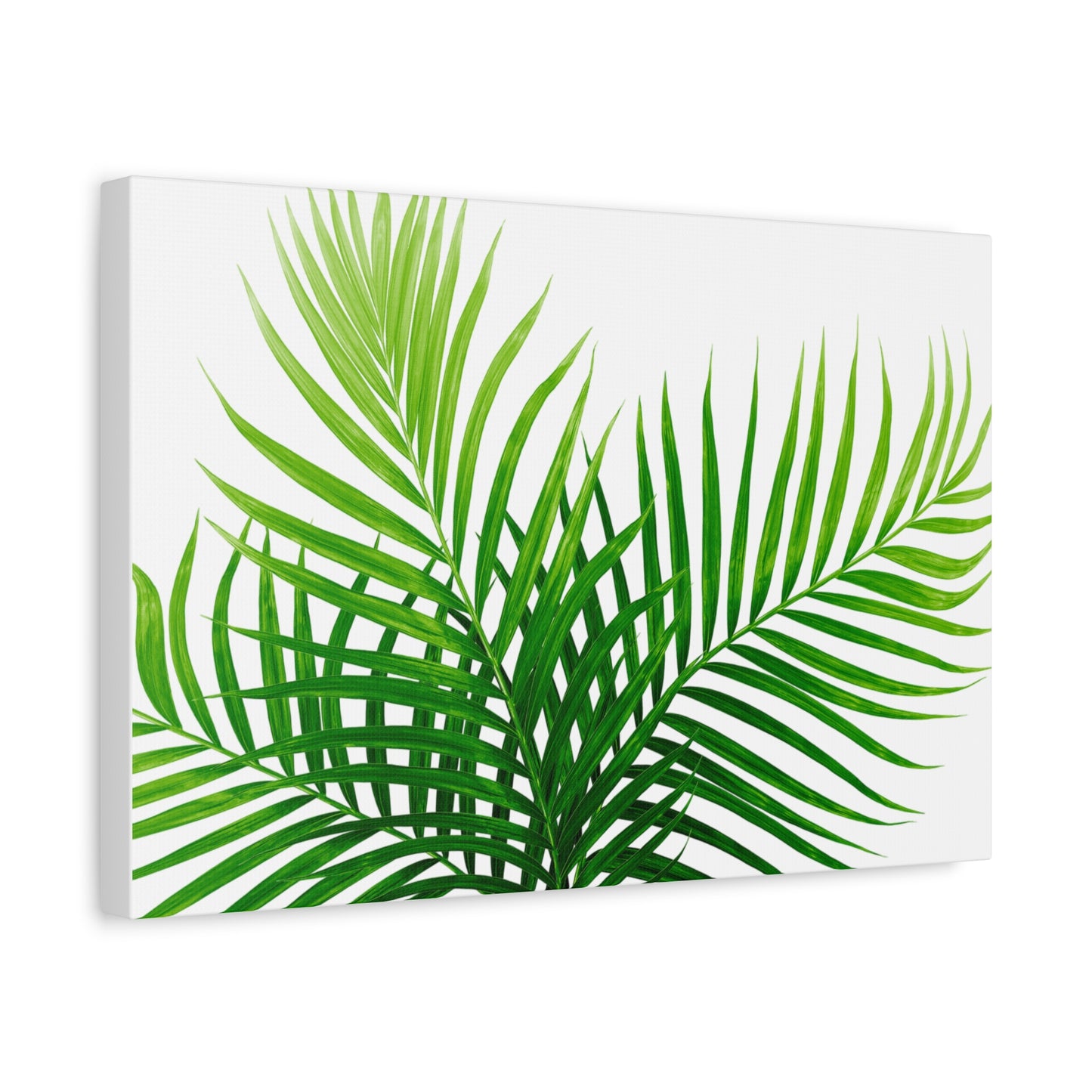 Tropical Leaf Matte Canvas Wall Art with a white background