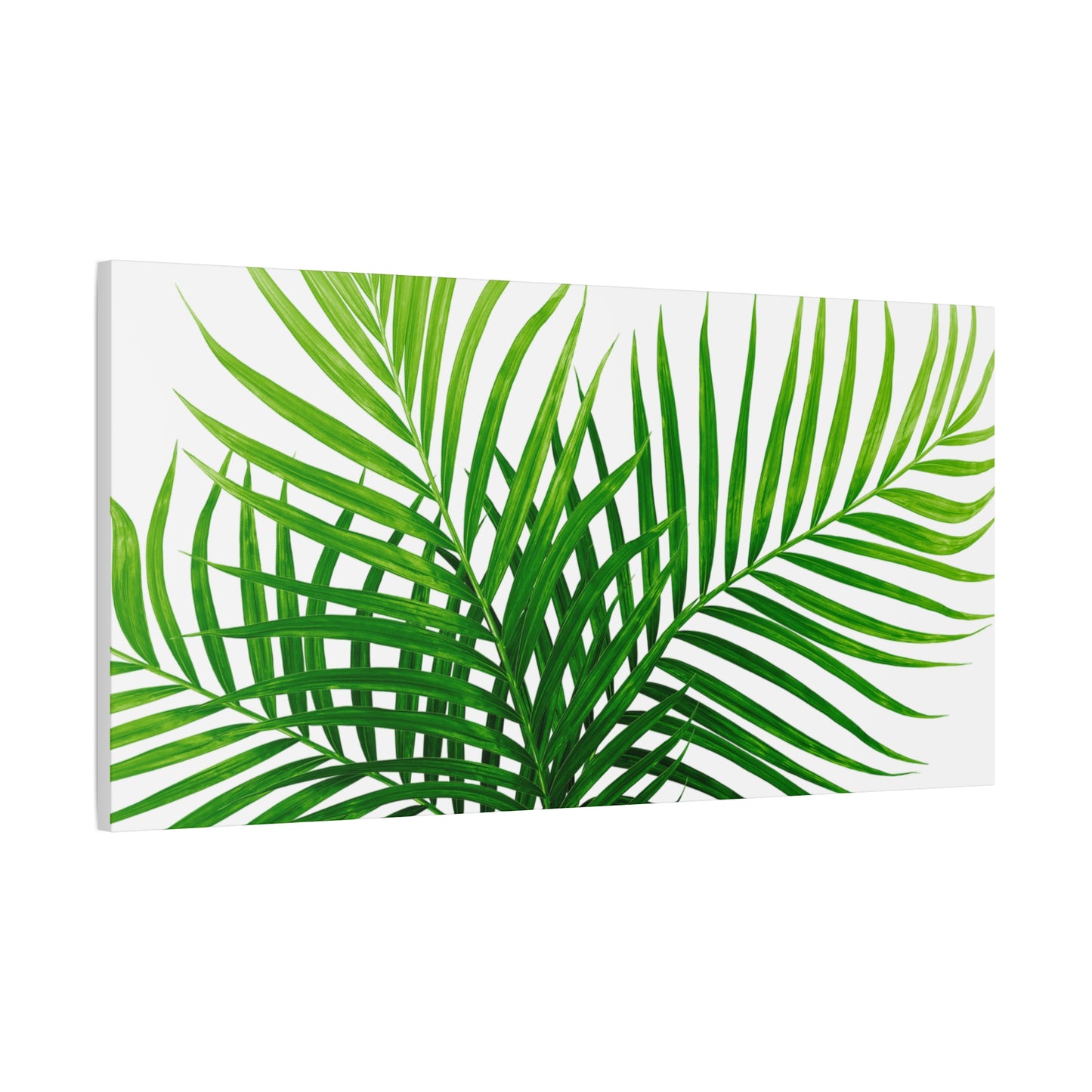 Tropical Leaf Matte Canvas Wall Art with a white background