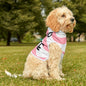 Too Cute Pet Hoodie for Stylish Dogs & Cats