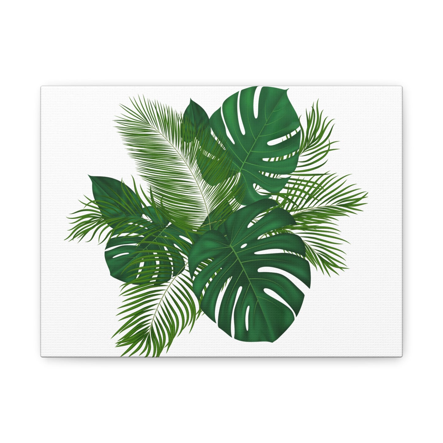 Palm Leaves White Background Matte Canvas