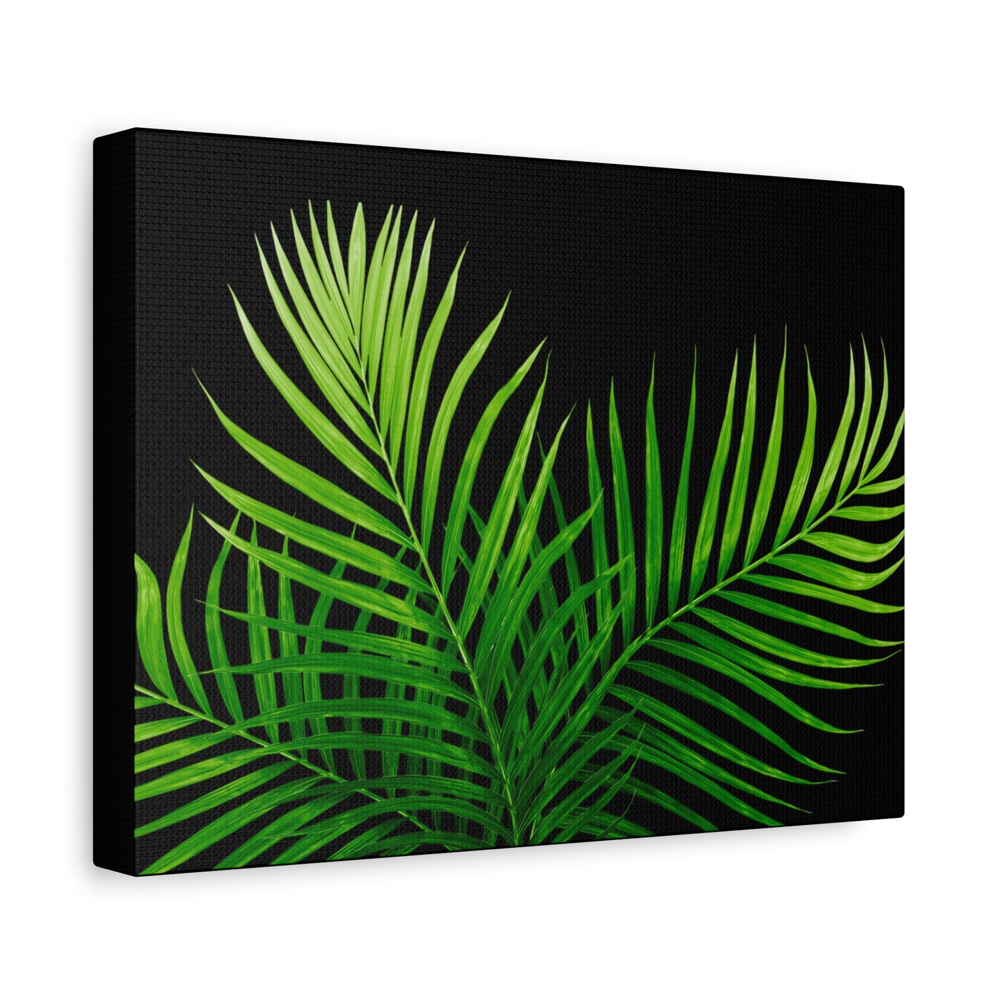 Tropical Leaf Matte Canvas Wall Art with a black background