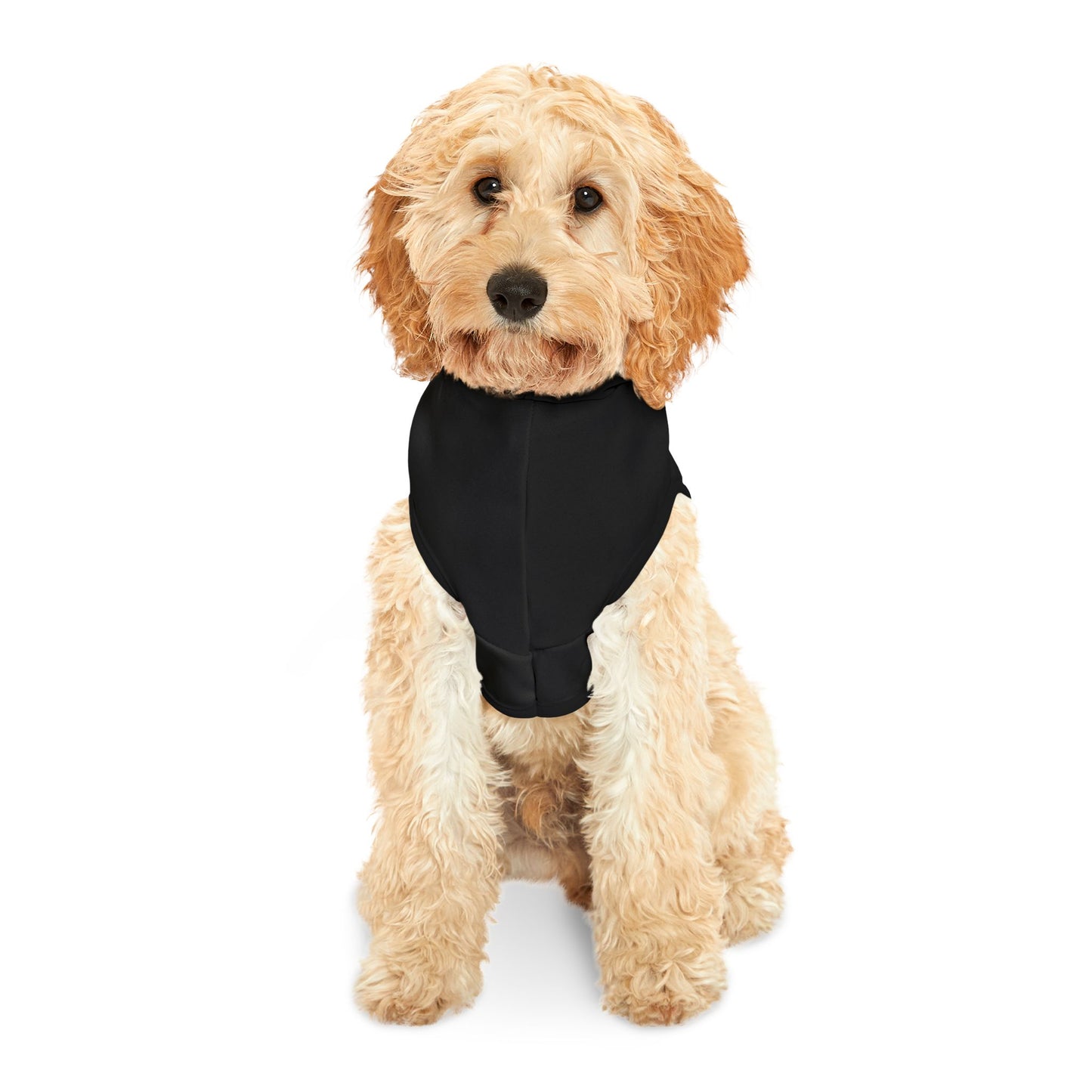 St. Patrick's Day Pet Hoodie with Heart & Shamrock Design