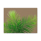 Tropical Leaf Matte Canvas Wall Art with a nude background
