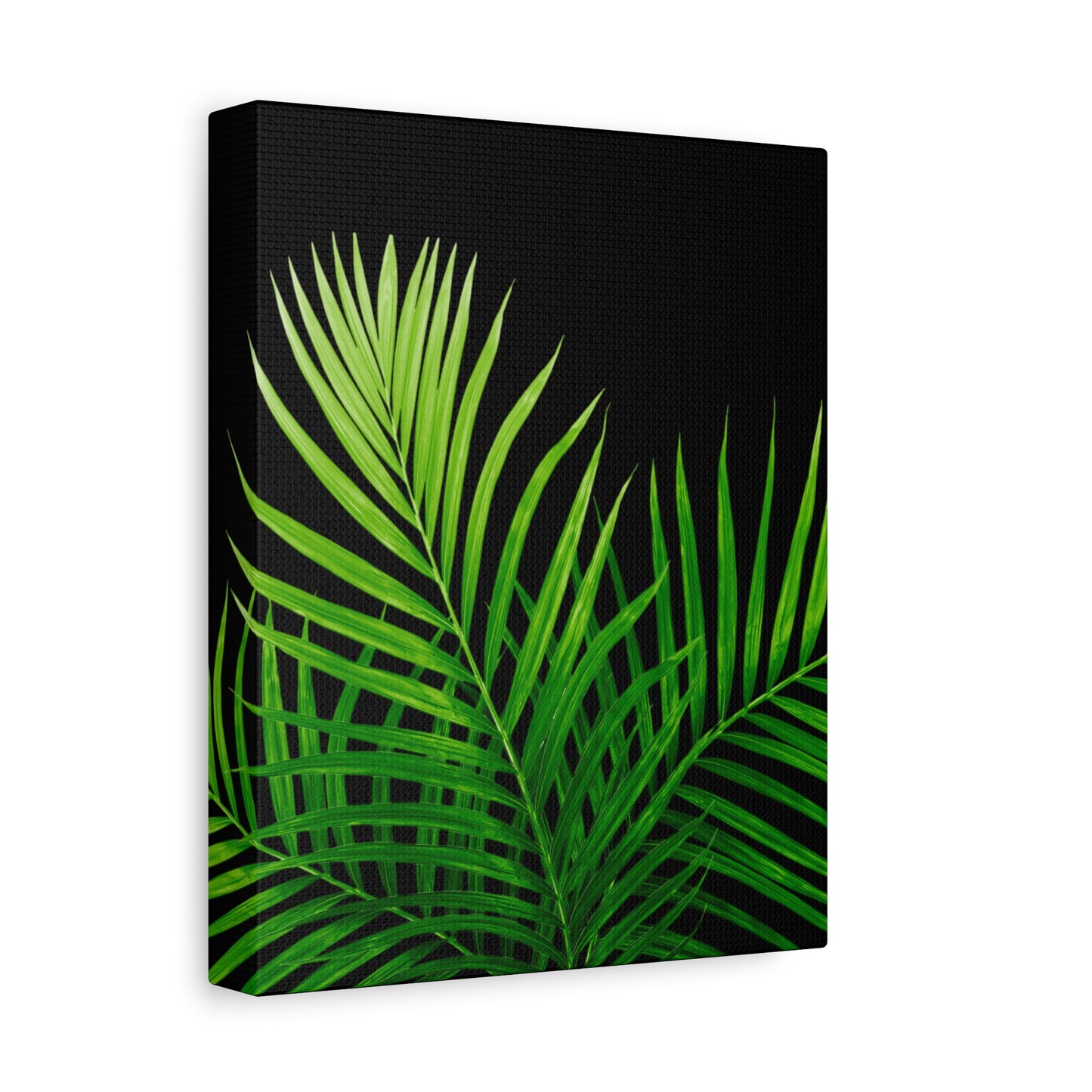 Tropical Leaf Matte Canvas Wall Art with a black background