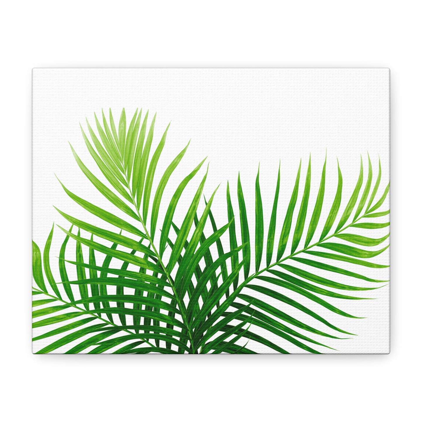 Tropical Leaf Matte Canvas Wall Art with a white background
