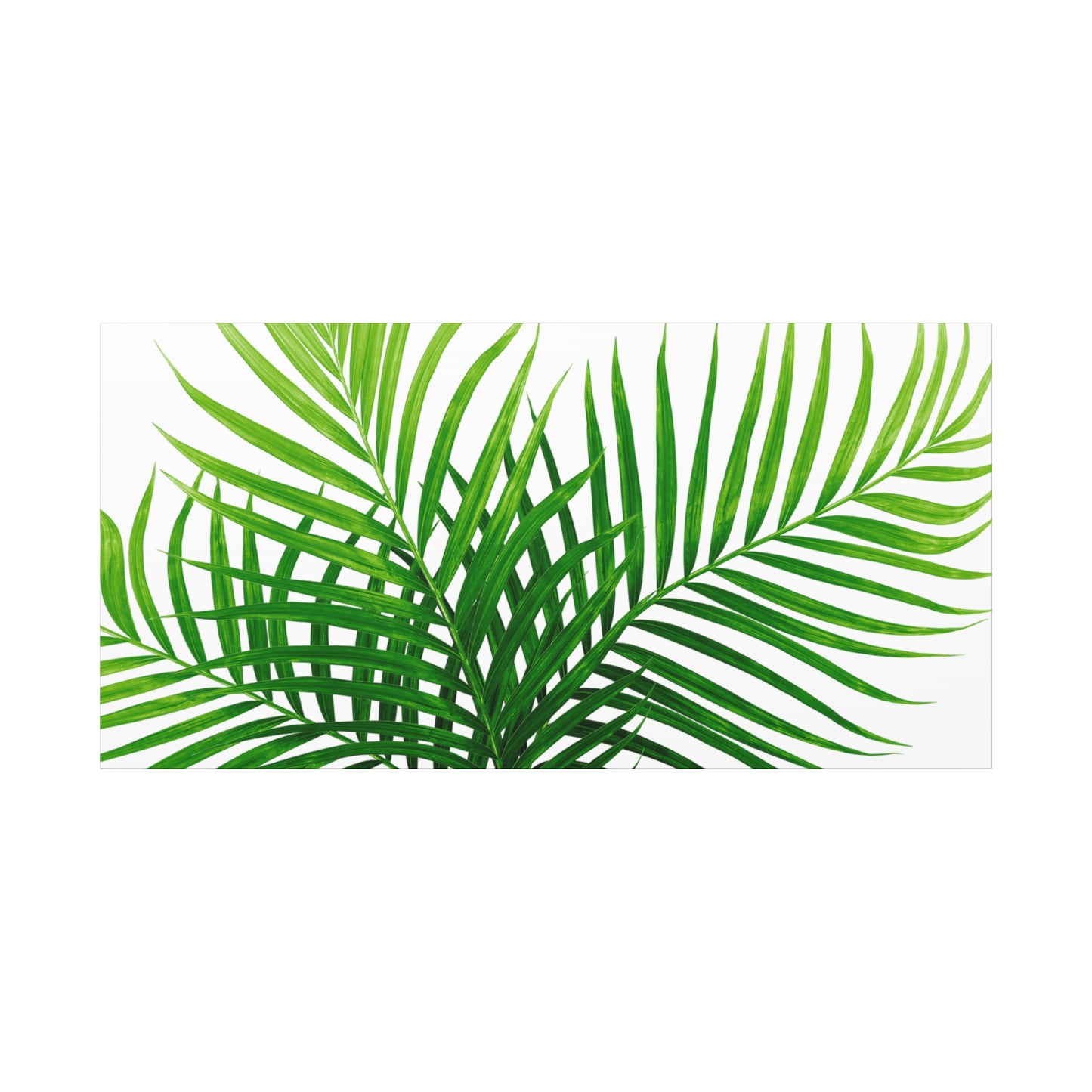 Tropical Leaf Matte Canvas Wall Art with a white background