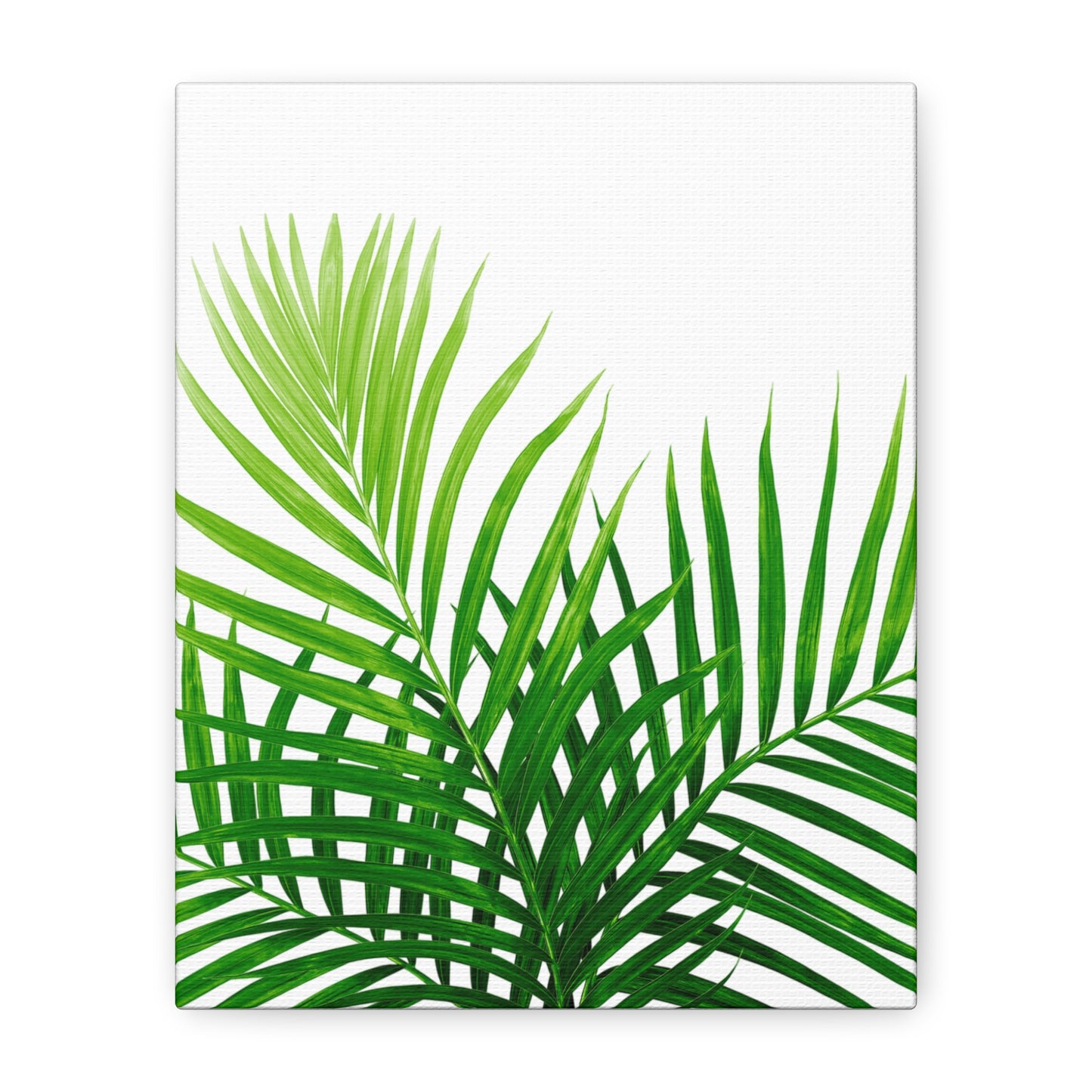 Tropical Leaf Matte Canvas Wall Art with a white background