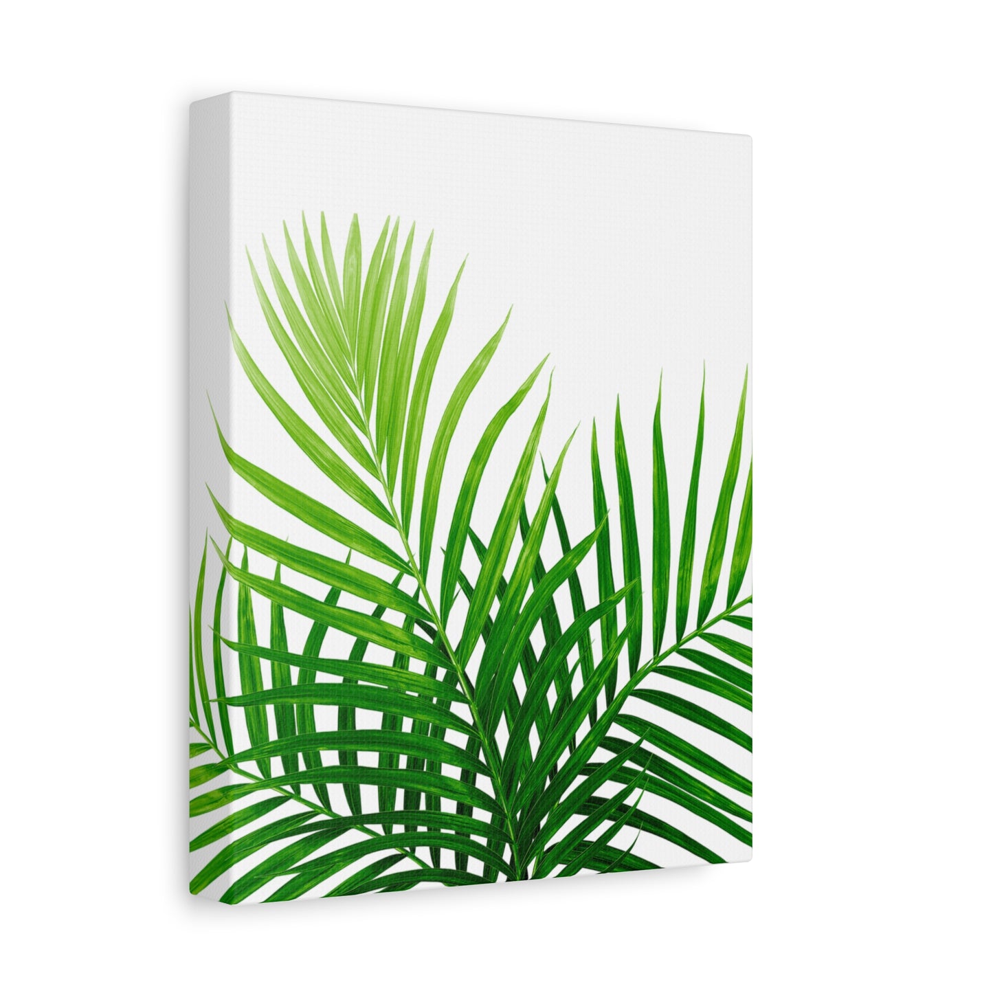 Tropical Leaf Matte Canvas Wall Art with a white background