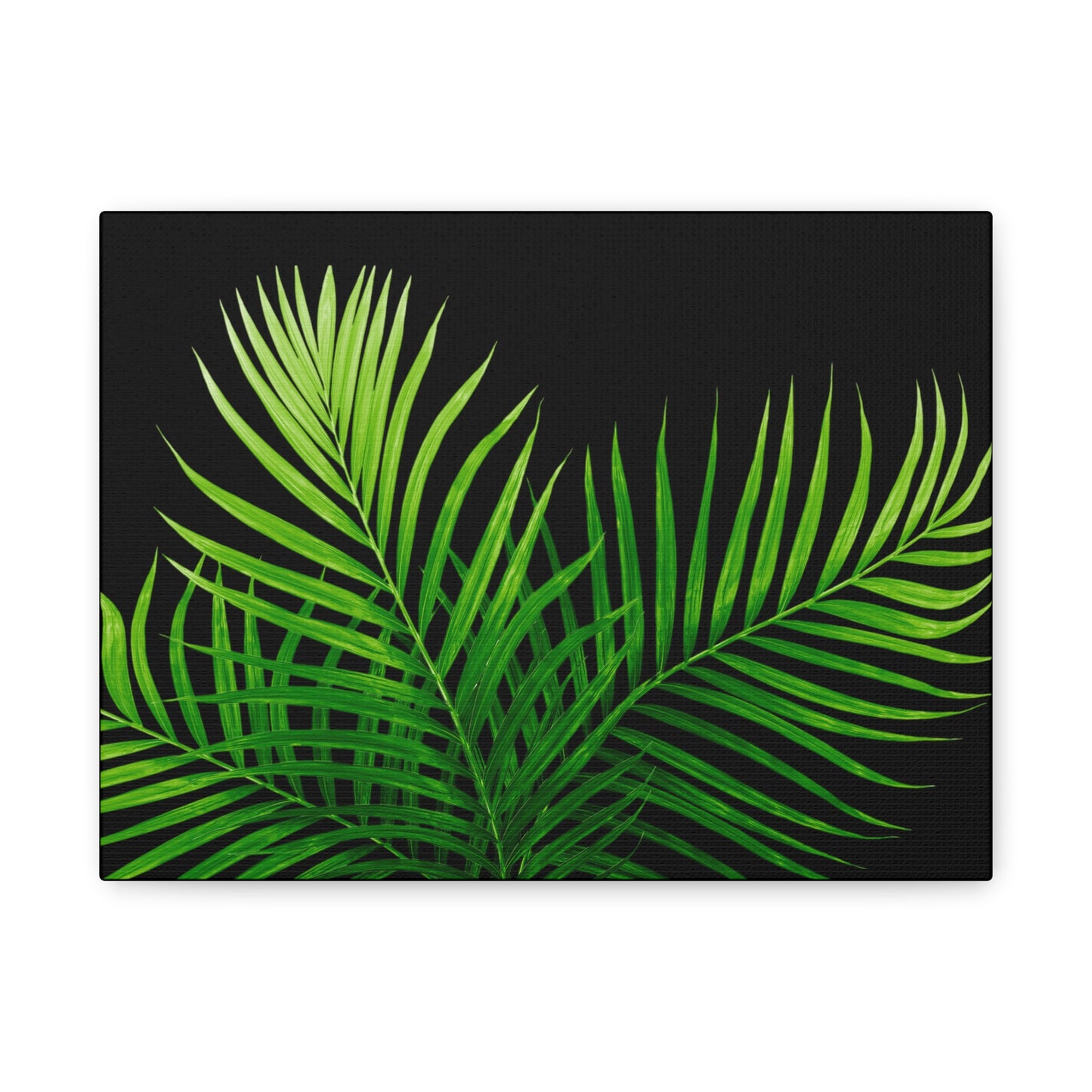 Tropical Leaf Matte Canvas Wall Art with a black background
