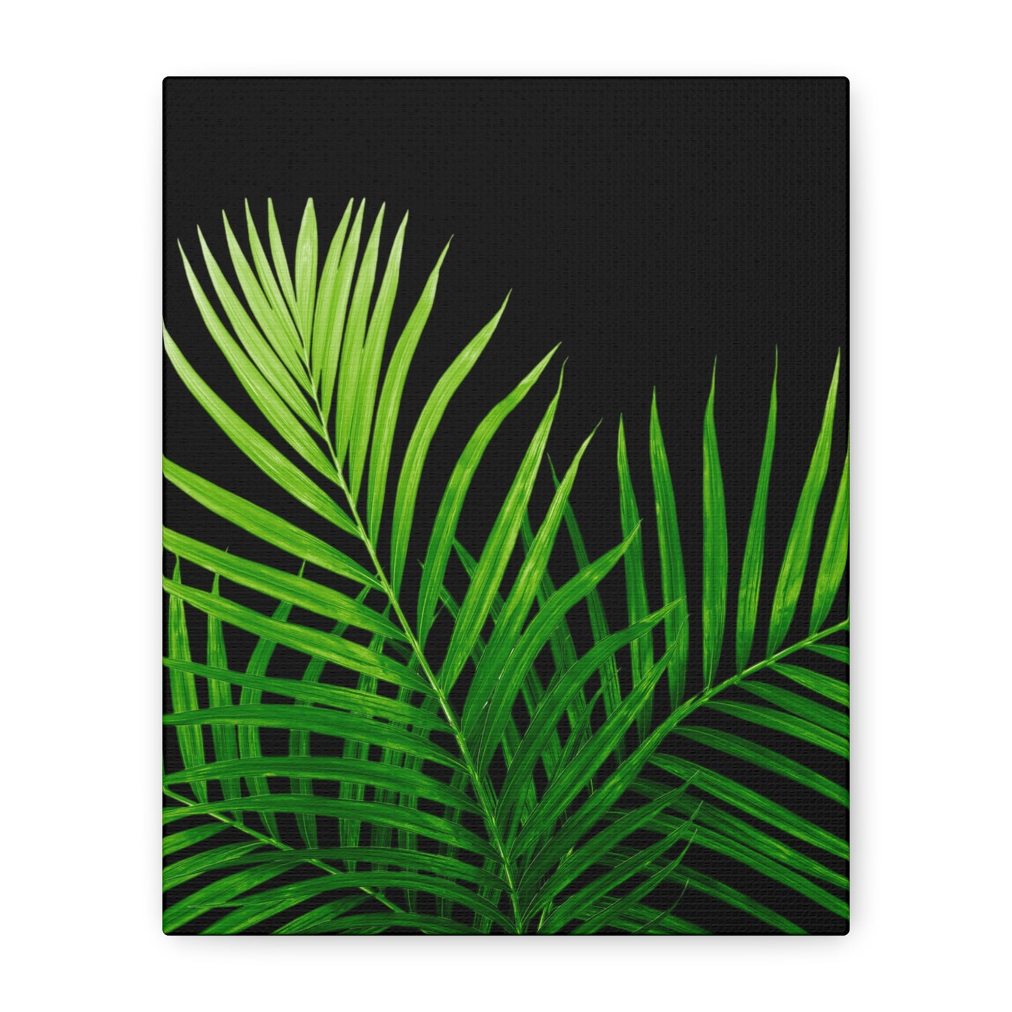 Tropical Leaf Matte Canvas Wall Art with a black background