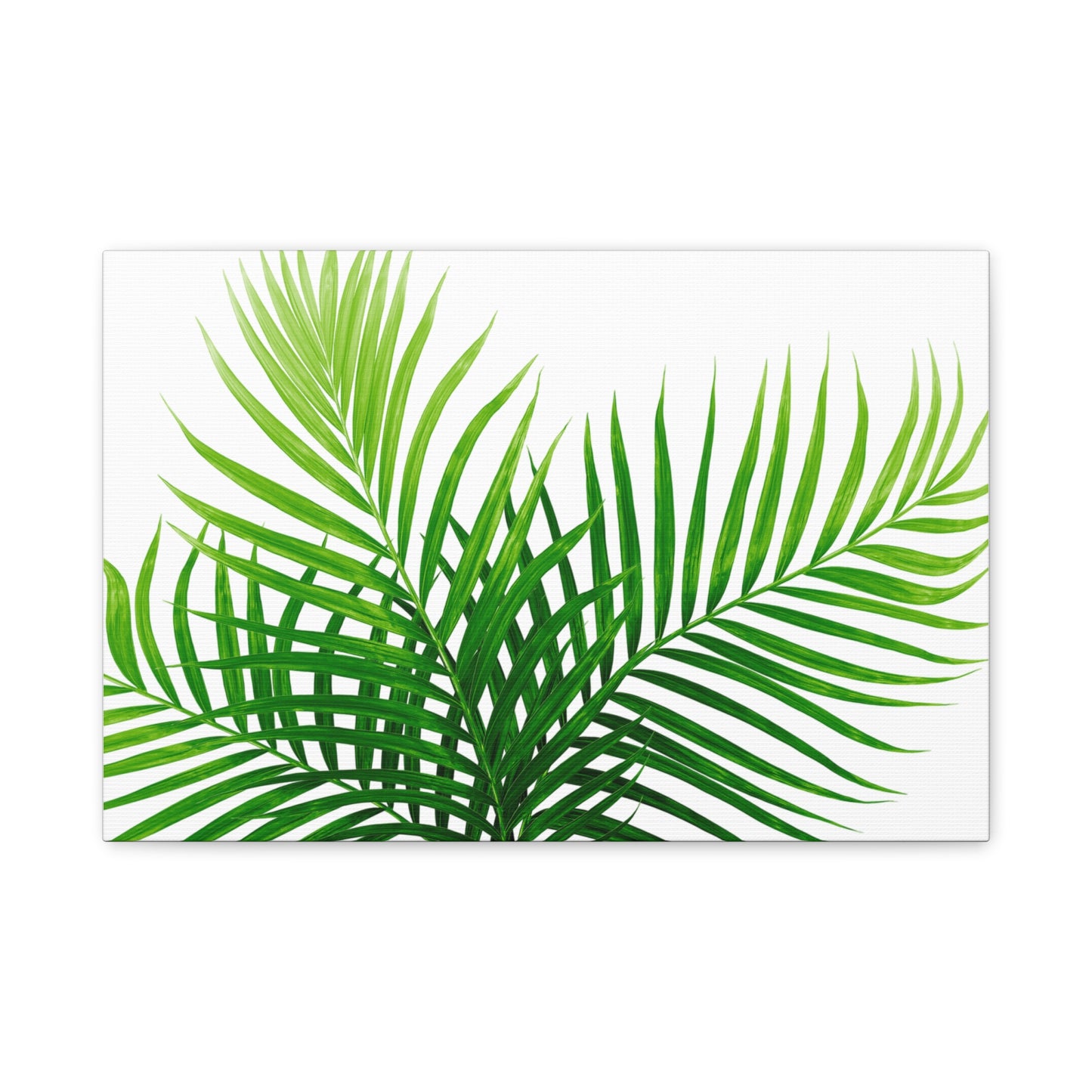 Tropical Leaf Matte Canvas Wall Art with a white background